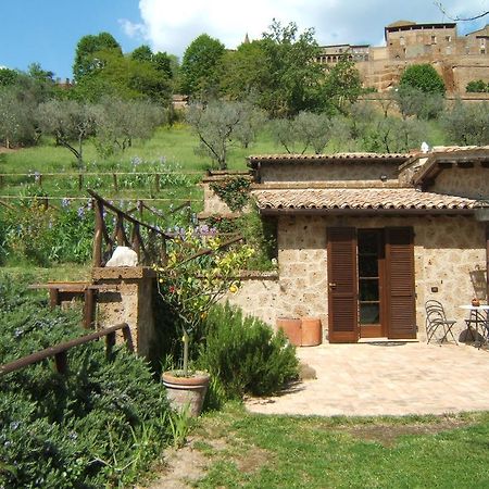 B&B Casaselita Orvieto Eksteriør billede
